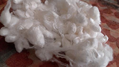 Silk Cocoon Fibre